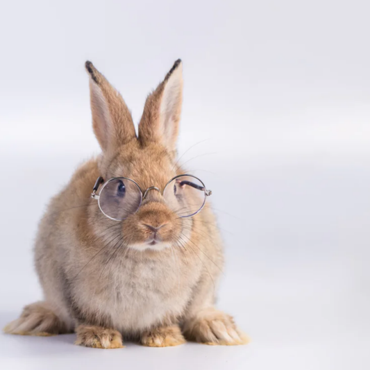 Mascarillas de esthemax®: Una Belleza Cruelty-Free 