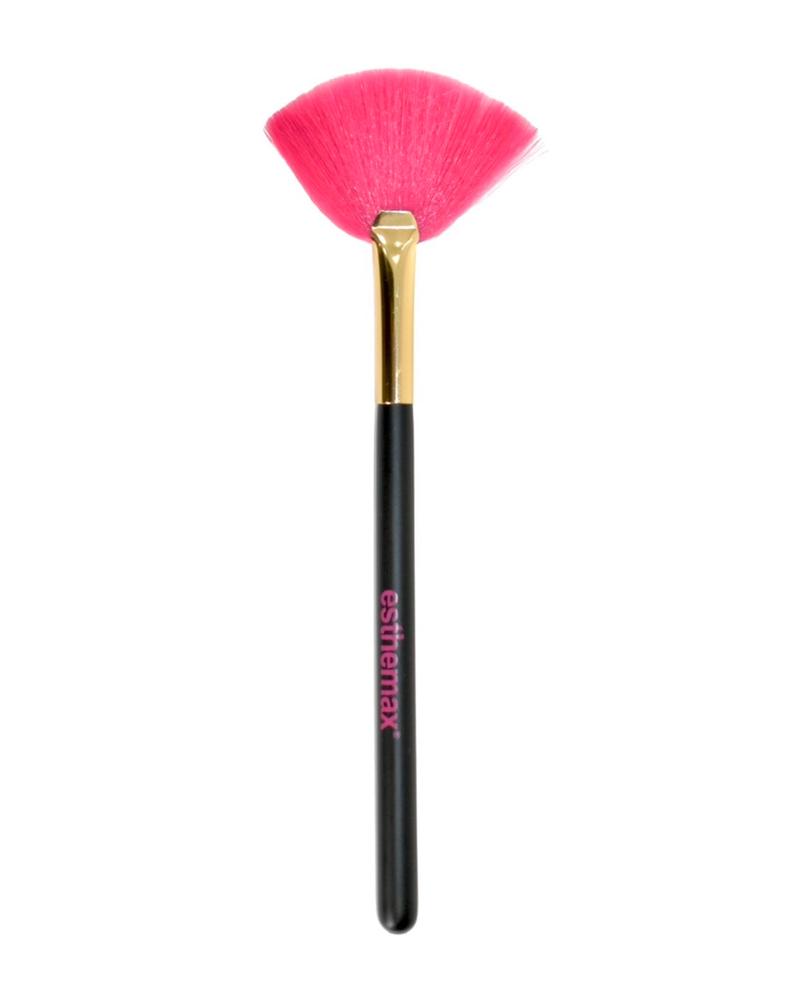 Fan Brush
